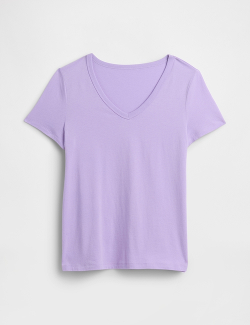 Favorite V-Neck T-Shirt