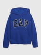 Kids Gap Arch Logo Hoodie