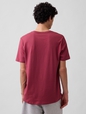 V-EVERYDAY SOFT BASIC LOGO T