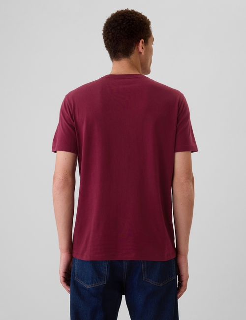 Everyday Soft Gap Graphic T-Shirt
