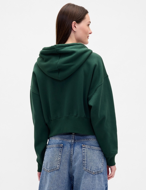 NEW ABBREV FZ HOOD