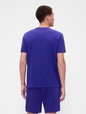 Everyday Soft Gap Logo T-Shirt