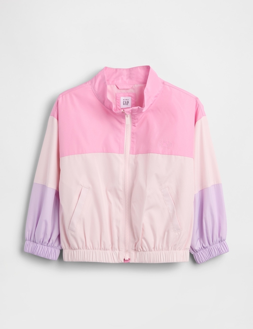 JPN IE CB WINDBUSTER