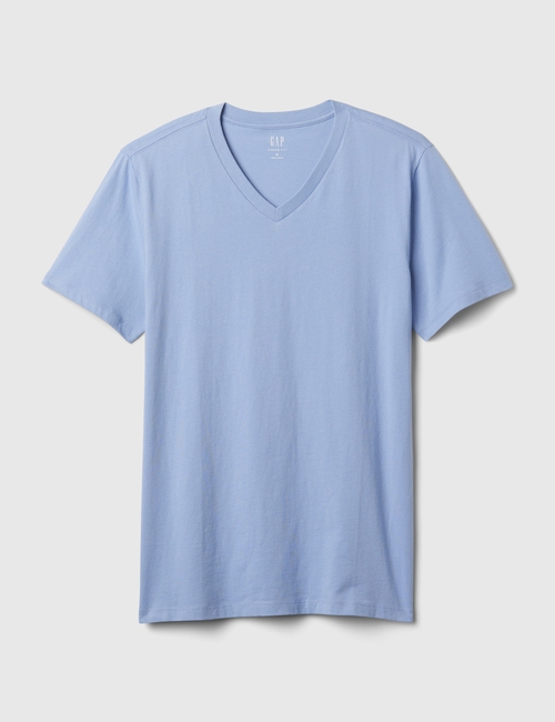 Jersey V-Neck T-Shirt