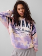GAP X PROJ A PULL OVER HOODIE 400G