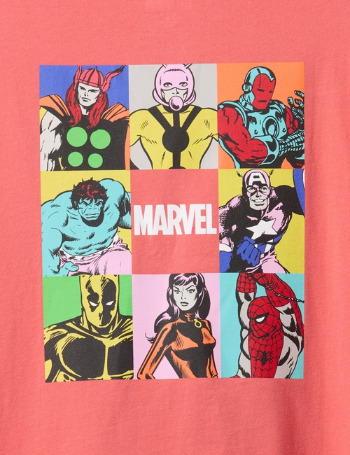 Marvel Avengers Everyday Soft Relaxed Graphic T-Shirt