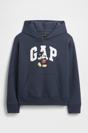 V-DISLOGO HOL LOGO PO