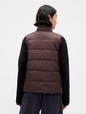 ColdControl Puffer Vest