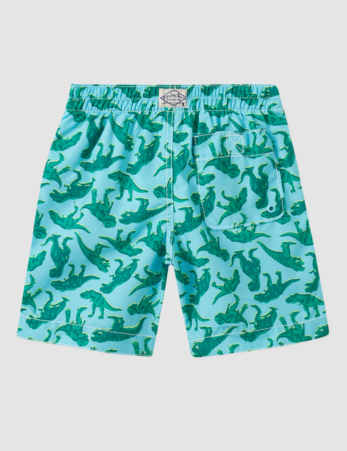 EU SWIM TRUNK