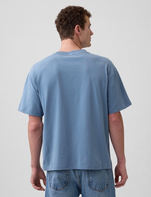V-VINTAGE SOFT BOXY TEE - NOVELTY