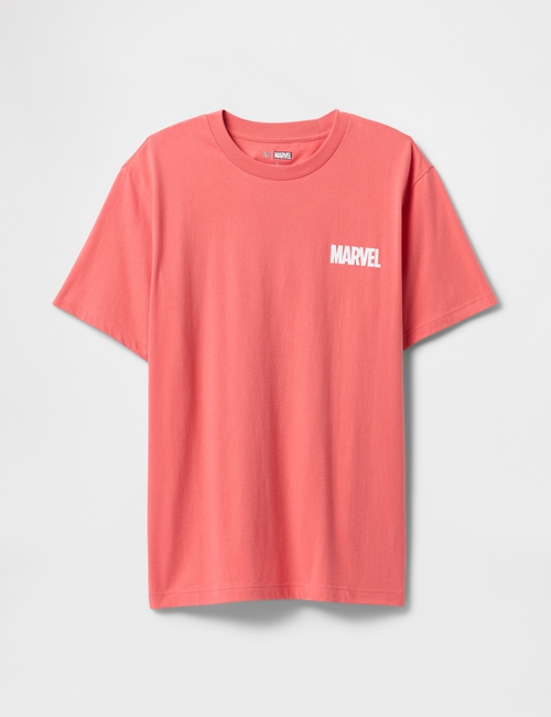 Marvel Avengers Everyday Soft Relaxed Graphic T-Shirt