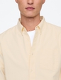 Oxford Shirt in Standard Fit