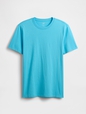 NEW EVERYDAY SOFT CREW - SOLID