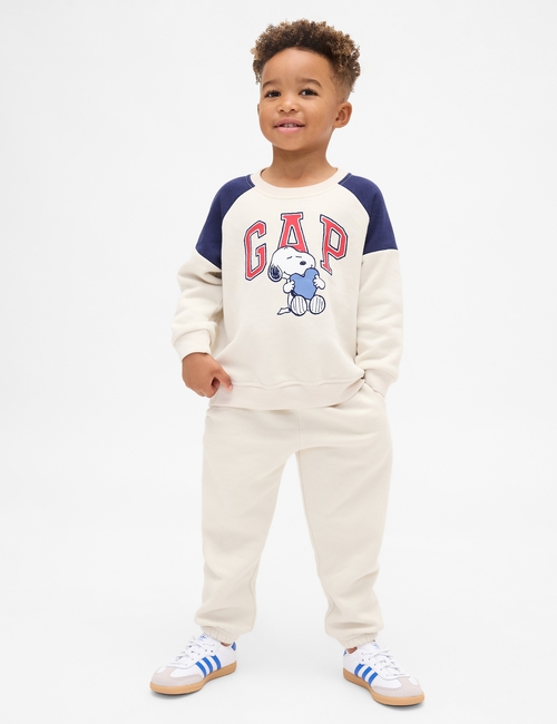 IE SNOOPY LOGO FLC SET