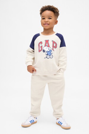 IE SNOOPY LOGO FLC SET