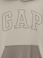 Kids Gap Logo Colorblock Hoodie