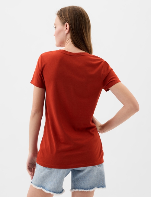 Favorite V-Neck T-Shirt