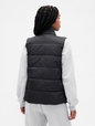ColdControl Puffer Vest