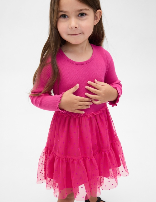 Baby & Toddler Tulle Mixed Media Dress