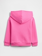 V-DIS X GAP LOGO PO