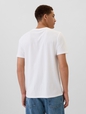 Everyday Soft Gap USA Logo T-Shirt