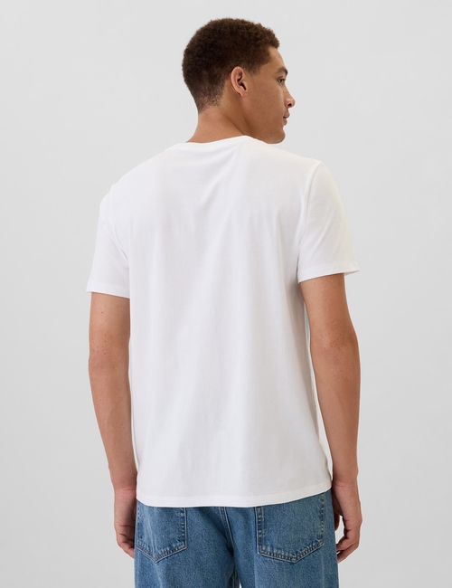 Everyday Soft Gap USA Logo T-Shirt