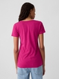 Favorite V-Neck T-Shirt