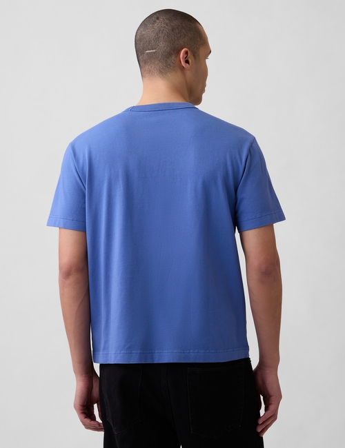 Adult Heavyweight Relaxed T-Shirt