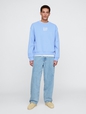 Vintage Soft Logo Sweatshirt