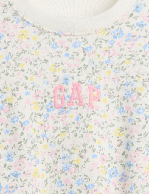 JPN IE G FT LOGO BBL BS