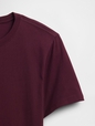 NEW EVERYDAY SOFT CREW - SOLID