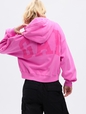 VintageSoft Arch Logo Cropped Hoodie