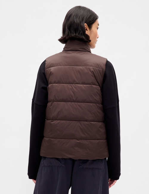 ColdControl Puffer Vest
