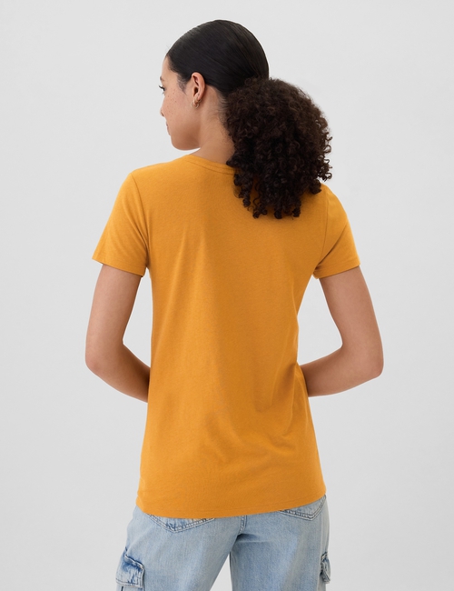 Favorite V-Neck T-Shirt