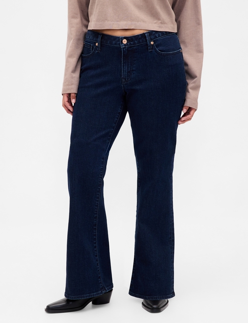 Curvy Low Rise Long & Lean Jeans