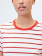 Favorite Stripe Crewneck T-Shirt