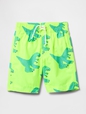 SWIM TRUNK SP25 MOD