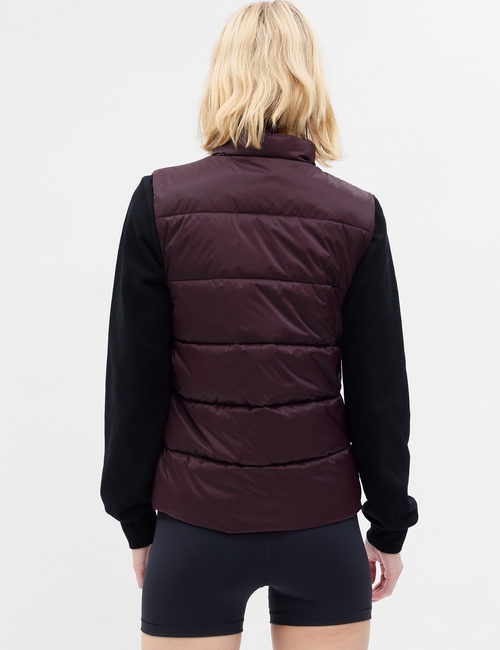 ColdControl Puffer Vest