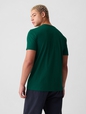 INTL NEW ARCH T