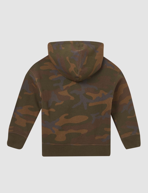 Kids Gap Arch Logo Hoodie