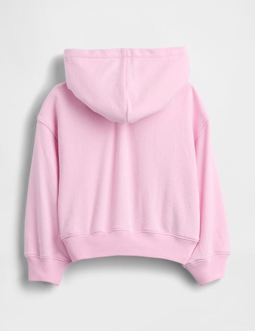 Baby & Toddler VintageSoft Terry Logo Zip Hoodie