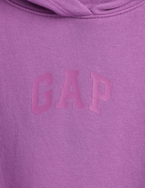 V-HI LO PO HOODIE