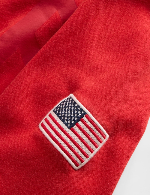VintageSoft Gap Logo Zip Hoodie