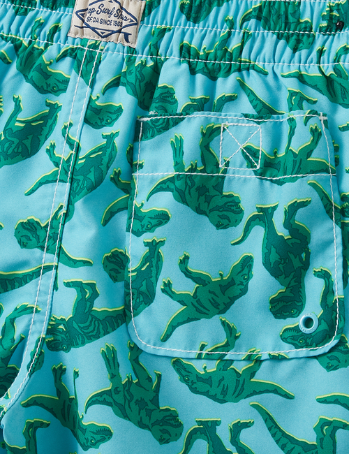 EU SWIM TRUNK