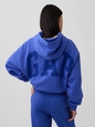 PG CROPPED PO HOOD_SP26
