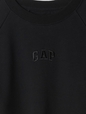 Vintage Soft Raglan Sweatshirt