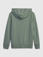 Kids Gap Logo Zip Hoodie