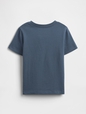V-DISLOGO X GAP FAM SS GR T