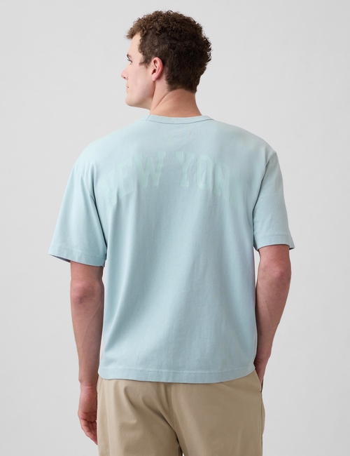 Heavyweight Relaxed 1969 Logo Crop T-shirt