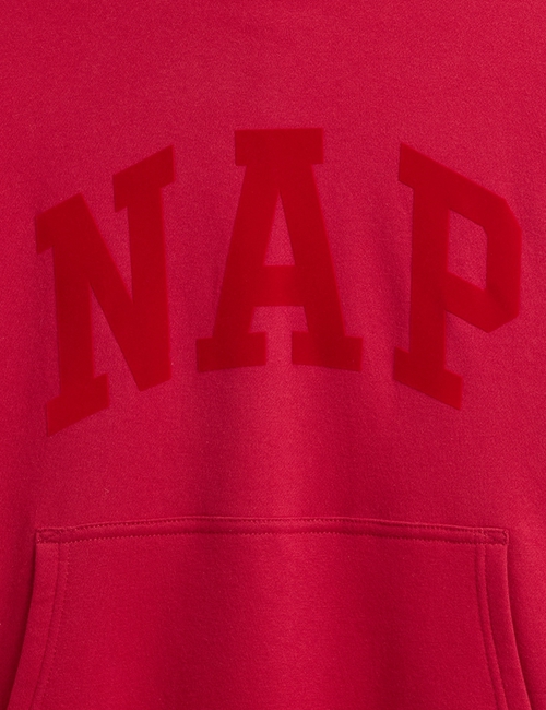 NAP LOGO PO HD
